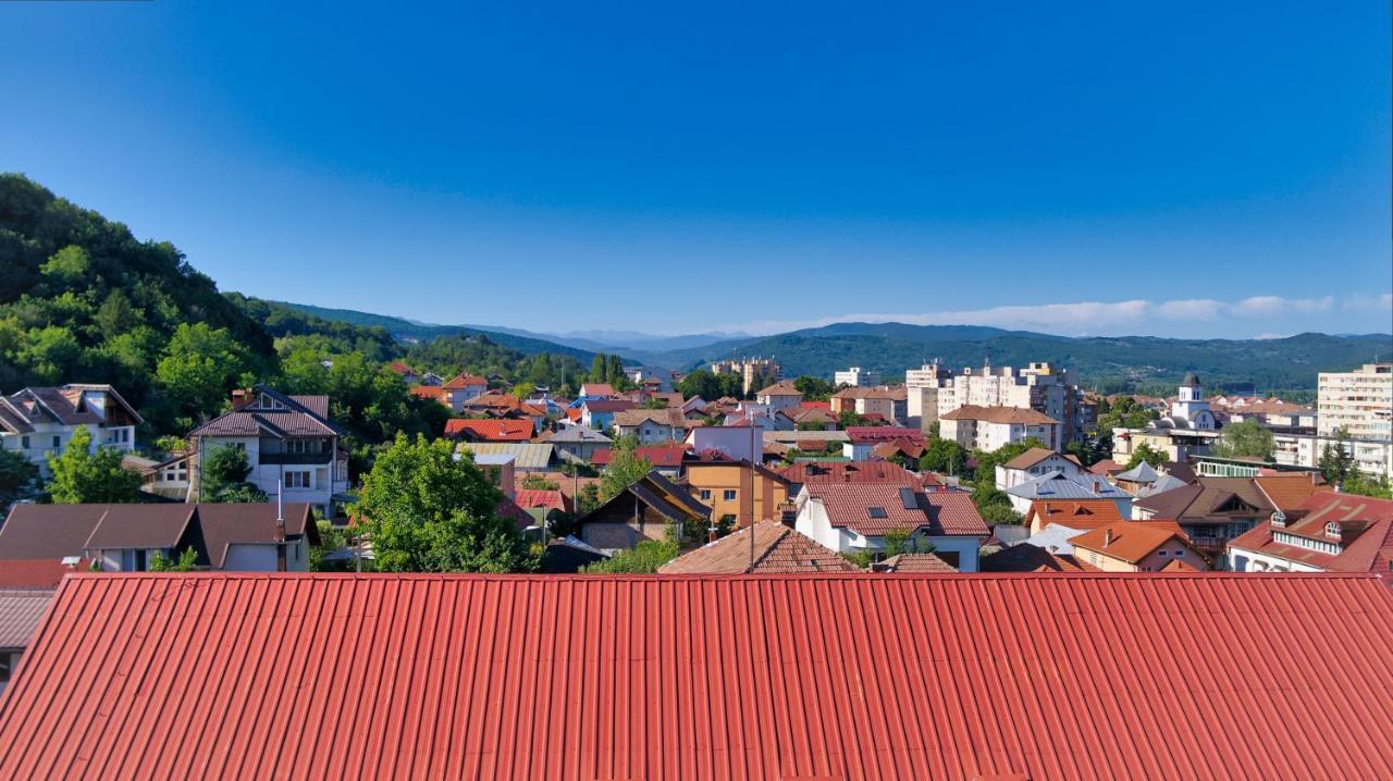 Vila Victoria Ramnicu Valcea Exterior foto