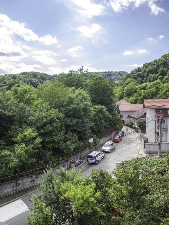 Vila Victoria Ramnicu Valcea Exterior foto